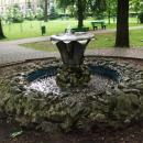 Jaworzno - fontanna w parku miejskim