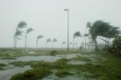 Eksperci: silny wiatr to tylko jedno z zagrożeń ze strony huraganu